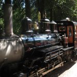 Tilden Steam Train!