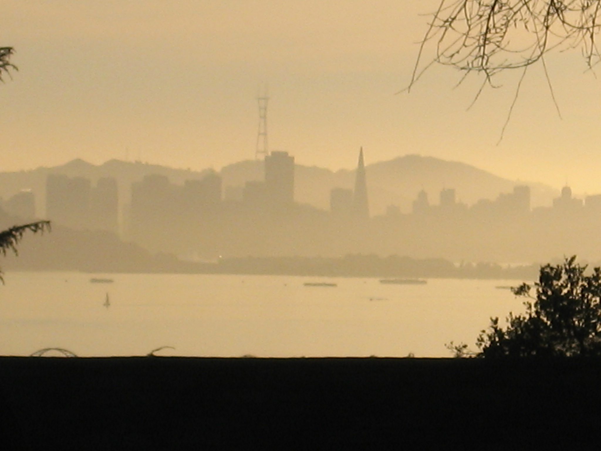 San Francisco Skyline