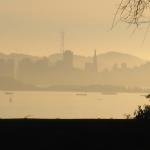 San Francisco Skyline