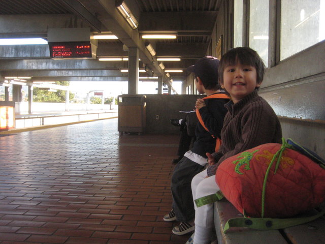 Taking BART to the public library
