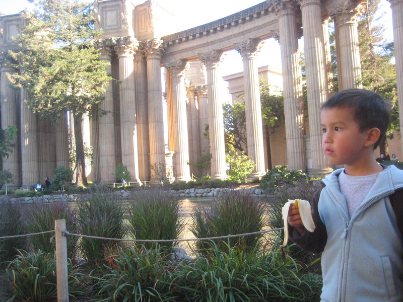 Palace of Fine Arts