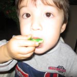 Green Cookie Debacle