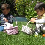 Backyard egg hunt