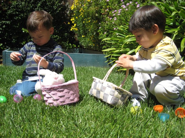 Backyard egg hunt