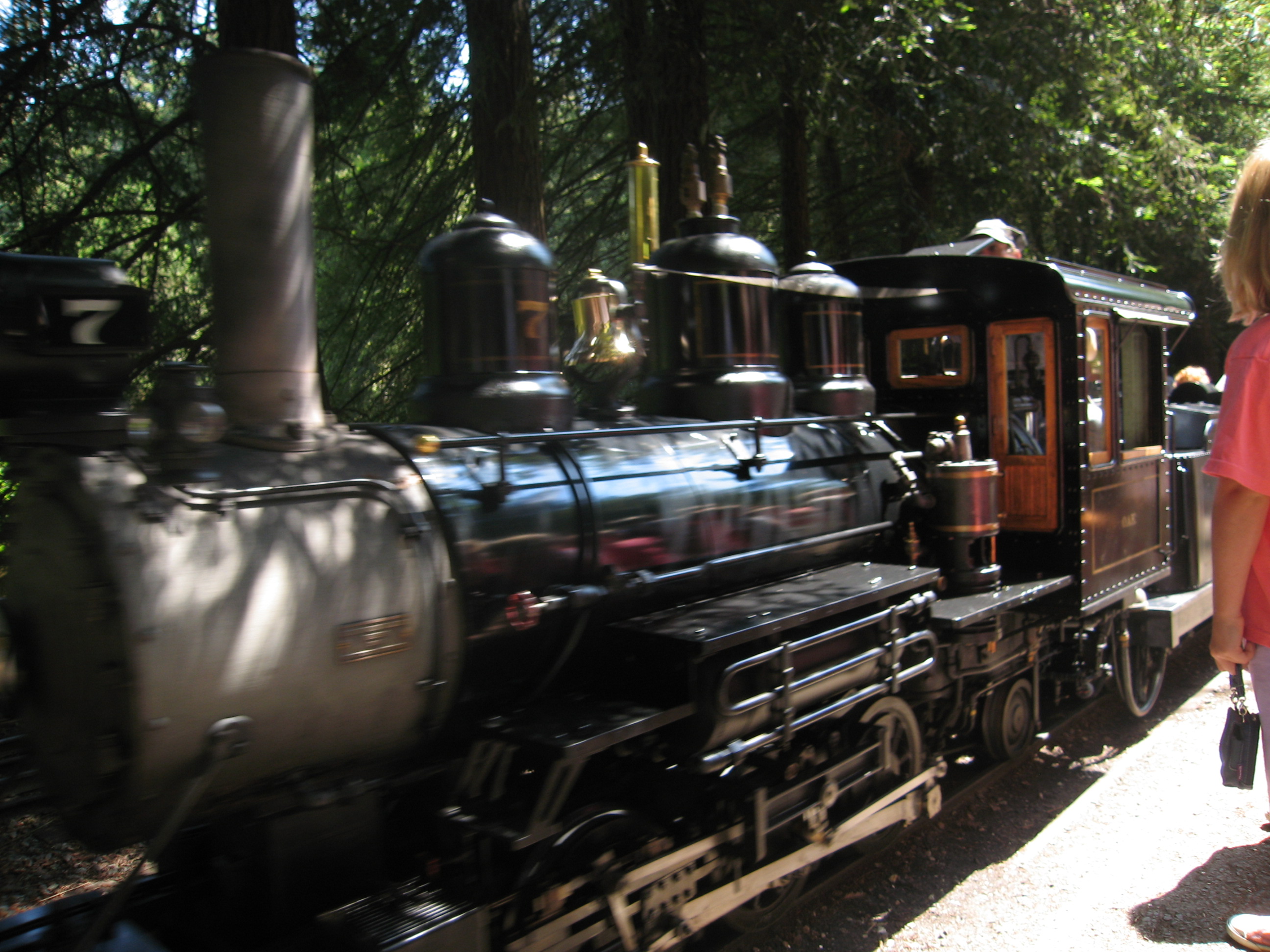 Tilden Steam Train!