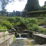 Berkeley Rose Garden